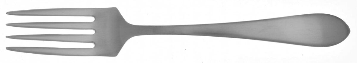 Boston Antique (Stainless, Satin) Individual Salad Fork by Towle Silver-1