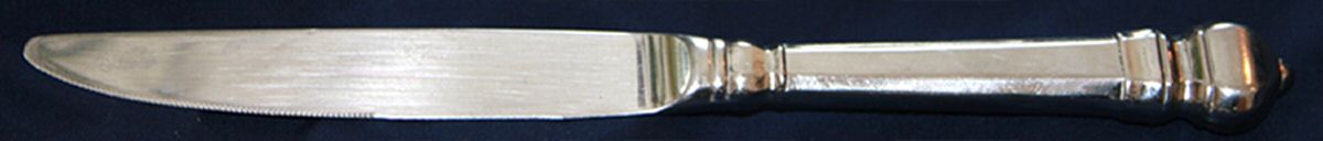 Trophee Glossy(Stainless) New French Hollow Knife by Towle Silver-1