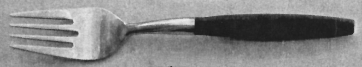 TWS486 (Stainless) Individual Salad Fork by Towle Silver-1
