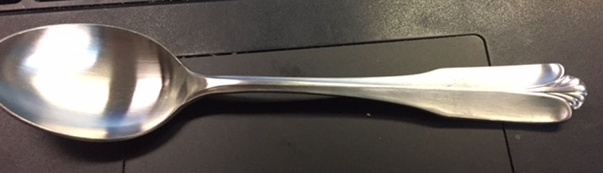TWS493(Stainless) Teaspoon by Towle Silver-1