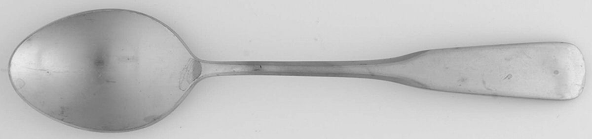 TWS501 (Stainless) Teaspoon by Towle Silver-1