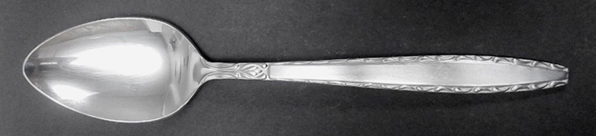 TWS509 (Stainless) Tablespoon (Serving Spoon) by Towle Silver-1