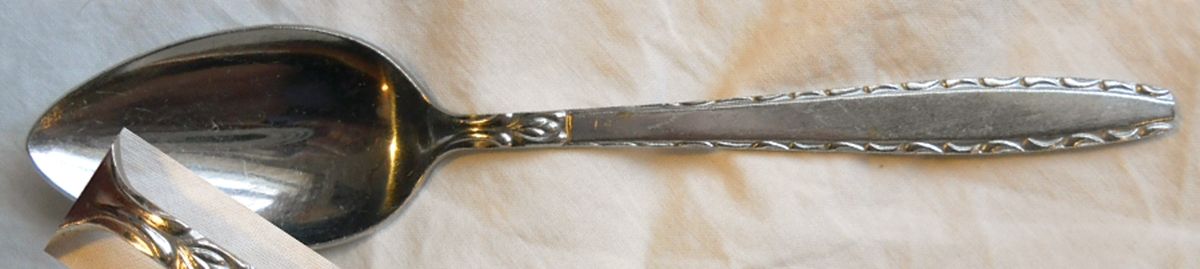 TWS509 (Stainless) Place/Oval Soup Spoon by Towle Silver-1