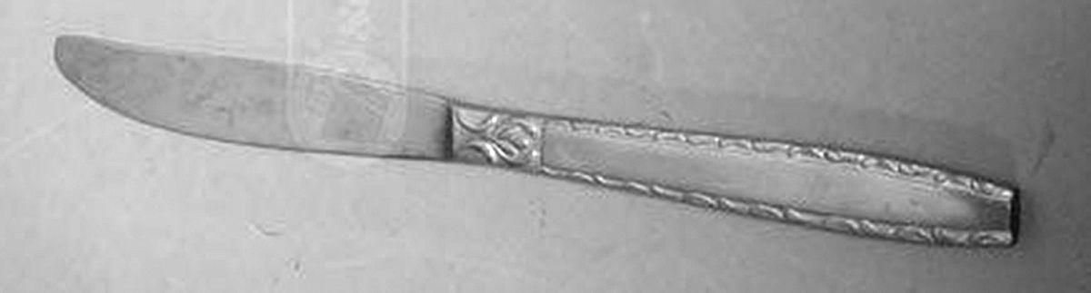 TWS509 (Stainless) Modern Solid Knife by Towle Silver-1