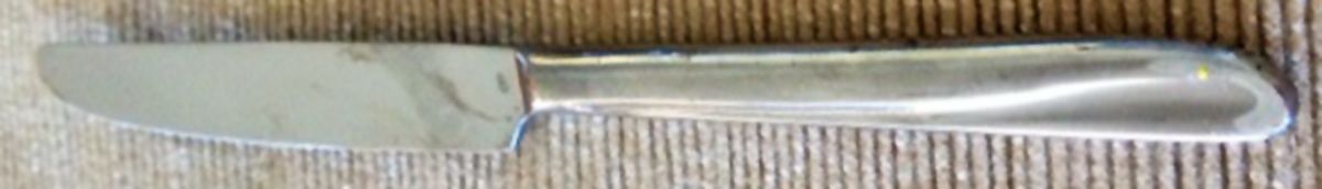 TWS512 (Stainless) Modern Solid Knife by Towle Silver-1