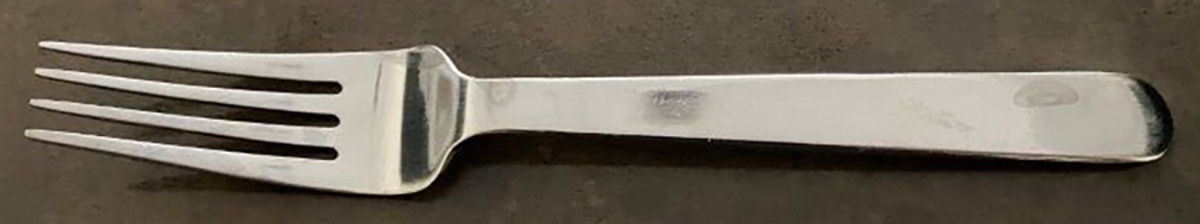 Wilson (Stainless) Individual Salad Fork by Towle Silver-1
