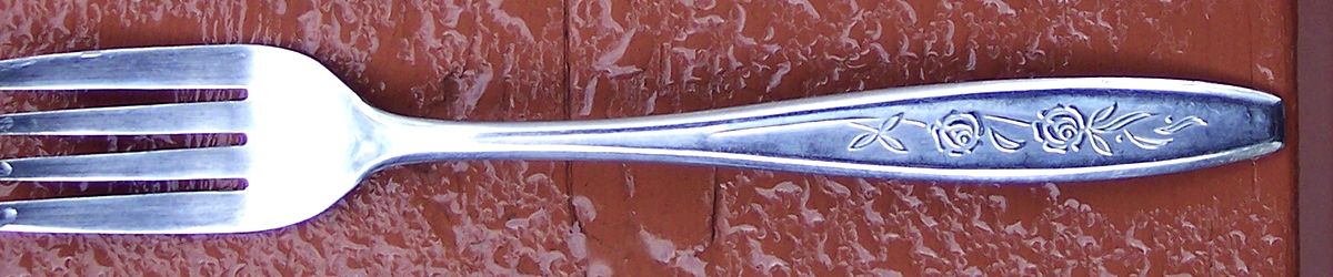 TNH10 (Stainless) Fork by Towne Hall-1