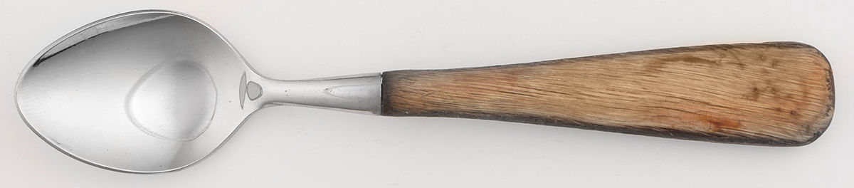 Aspen (Stainless) Teaspoon by Trend Pacific-1