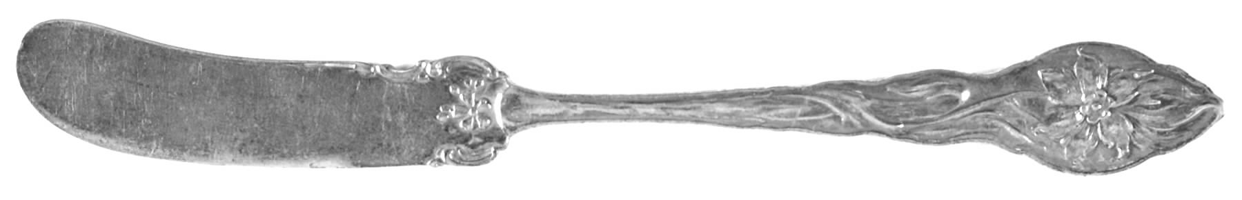 Narcissus (Sterling, 1890, No Monograms) Flat Handle Butter Spreader by Unger Brothers-1