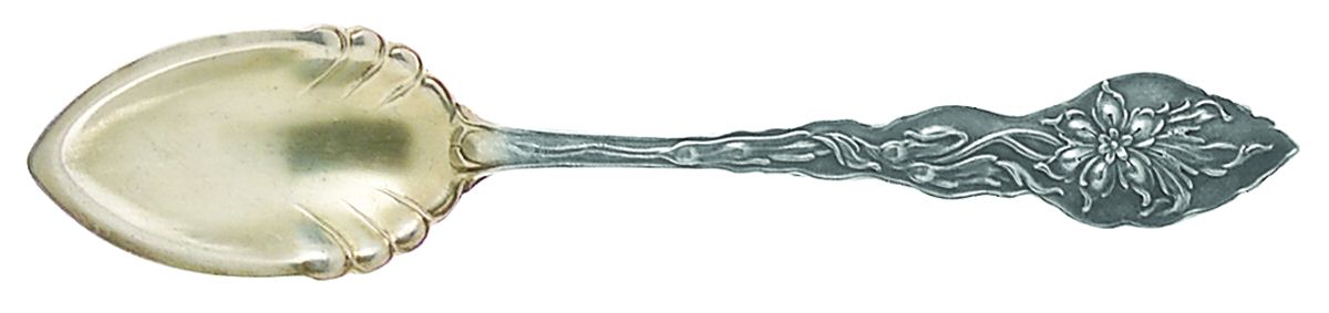 Narcissus (Sterling, 1890, No Monograms) Fruit/Orange Spoon by Unger Brothers-1