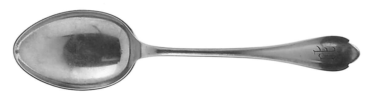 Springfield (Sterling, 1900) Tablespoon (Serving Spoon) by Unger Brothers-1