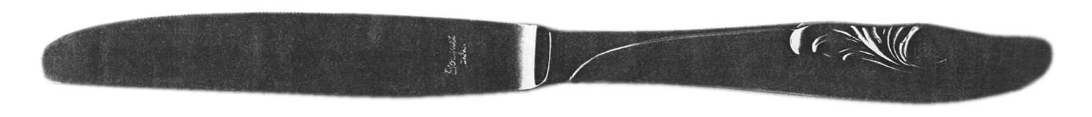 Bouquet (Stainless) Modern Hollow Knife by Unknown Mfg Silver-1