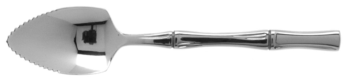 Cane II (Stainless) Fruit/Orange Spoon by Unknown Mfg Silver-1