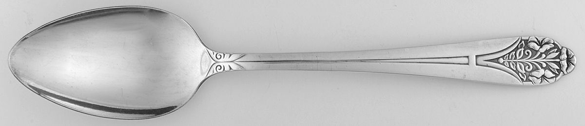Claudia (Silverplate) Place/Oval Soup Spoon by Unknown Mfg Silver-1