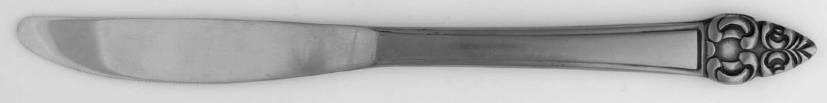 Erica (Stainless) Modern Solid Knife by Unknown Mfg Silver-1