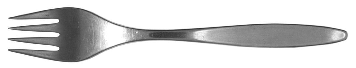 Gold (Stainless) Fork by Unknown Mfg Silver-1