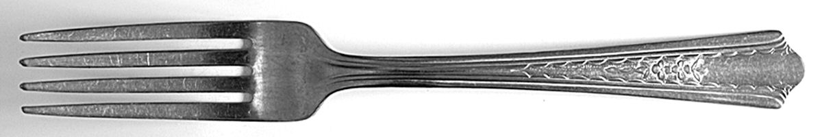 P510 (Stainless) Fork by Unknown Mfg Silver-1
