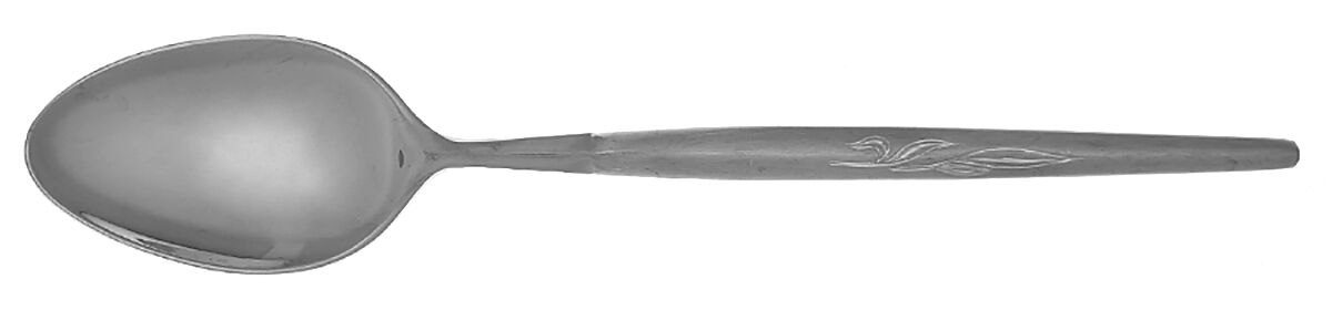 Ron Spray (Stainless) Teaspoon by Unknown Mfg Silver-1