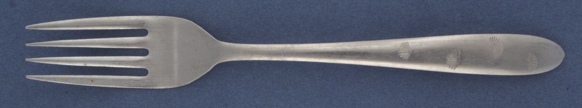 Starlite (Stainless) Fork by Unknown Mfg Silver-1
