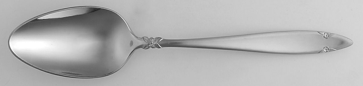 UNF12 (Stainless) Tablespoon (Serving Spoon) by Unknown Mfg Silver-1