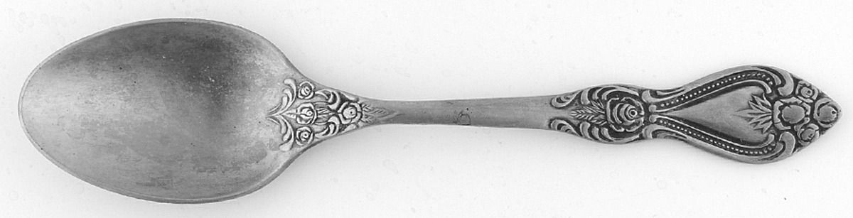 SRB269 (Stainless) Tablespoon (Serving Spoon) by Stanley Roberts-1