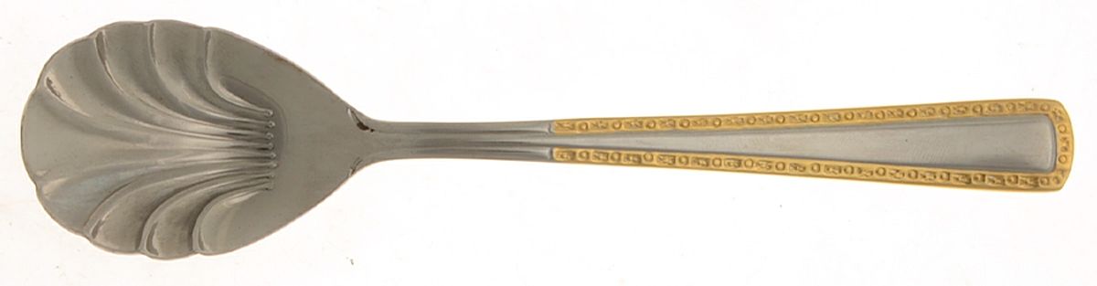 UNF143 (Stainless) Sugar Shell Spoon by Unknown Mfg Silver-1