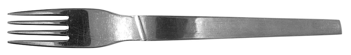 C6N1 (Stainless) Fork by Coronado-1