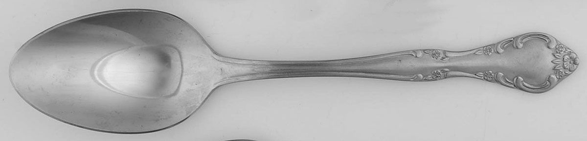 UNF190 (Stainless) Tablespoon (Serving Spoon) by Unknown Mfg Silver-1
