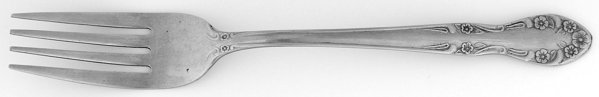 UNF209 (Stainless) Fork by Unknown Mfg Silver-1