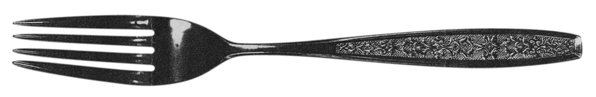 UNF223 (Stainless) Fork by Unknown Mfg Silver-1