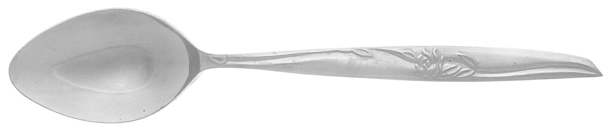UNF227 (Stainless) Teaspoon by Unknown Mfg Silver-1