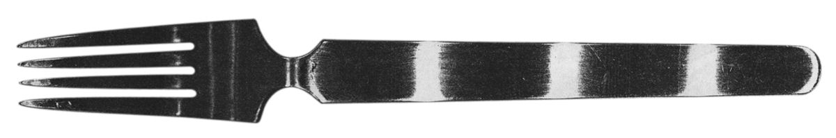UNF239 (Stainless) Fork by Unknown Mfg Silver-1