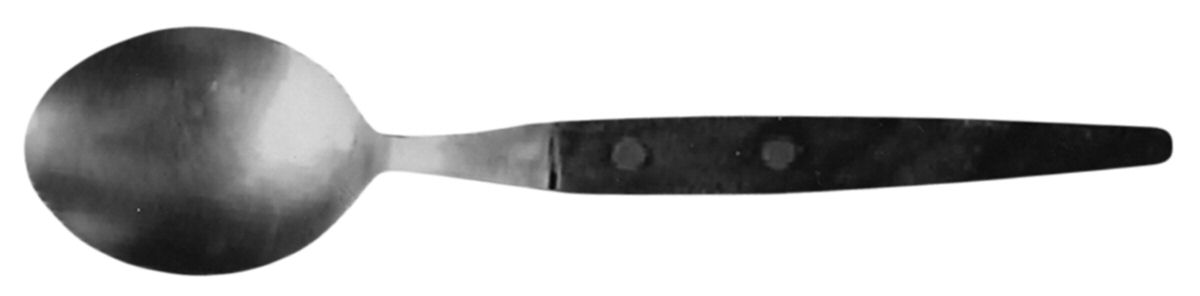 UNF246 (Stainless) Teaspoon by Unknown Mfg Silver-1