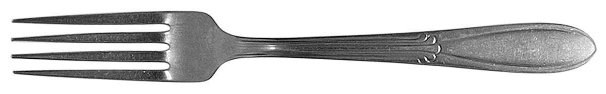 UNF282 (Stainless) Fork by Unknown Mfg Silver-1