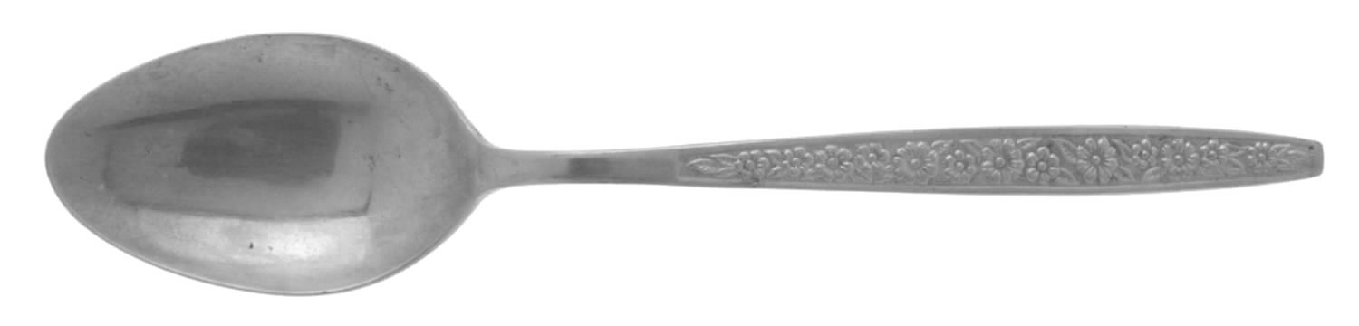 Anneka (Stainless) Teaspoon by Sears Roebuck-1