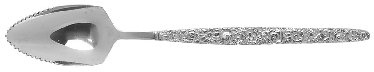 Rose Garden (Stainless) Fruit/Orange Spoon by Unknown Mfg Silver-1
