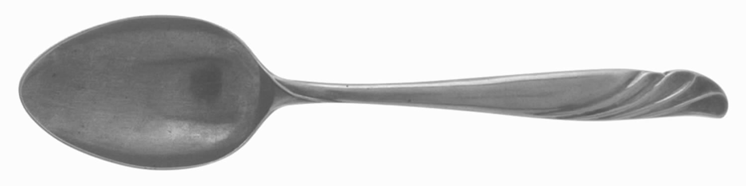 UNF381 (Stainless) Teaspoon by Unknown Mfg Silver-1