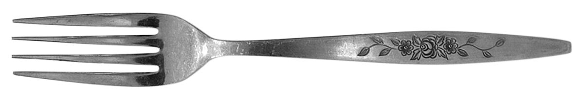 UNF420 (Stainless) Fork by Unknown Mfg Silver-1