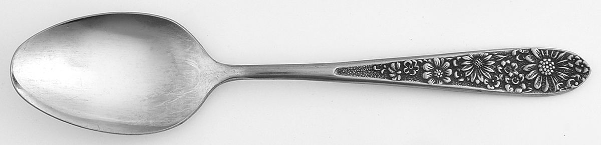 UNF48 (Stainless) Teaspoon by Unknown Mfg Silver-1