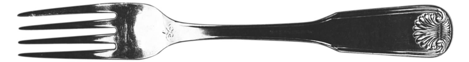 UNF81 (Stainless) Fork by Unknown Mfg Silver-1