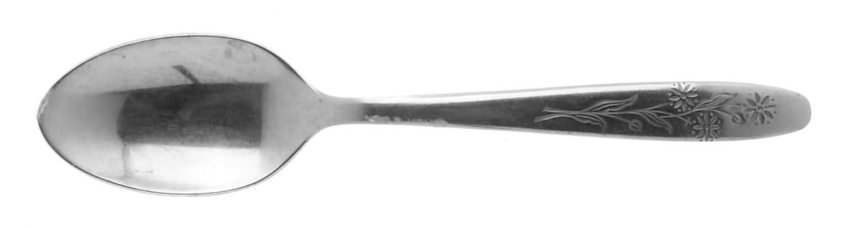 Bouquet (Stainless) Teaspoon by Utica-1