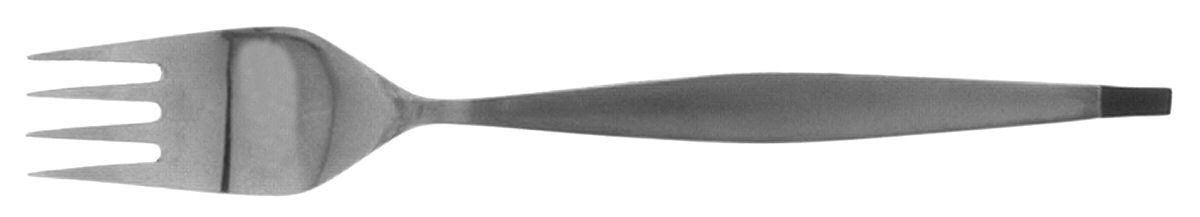 Night & Day (Stainless) Individual Salad Fork by Unknown Mfg Silver-1