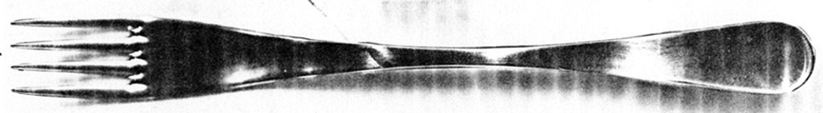 RW (Stainless) Fork by Unknown Mfg Silver-1