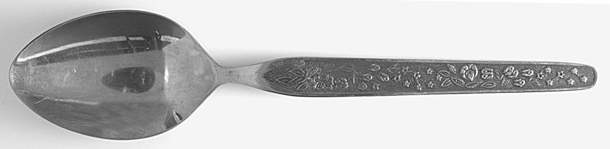 Ambassador (Stainless) Place/Oval Soup Spoon by Unknown Mfg Silver-1