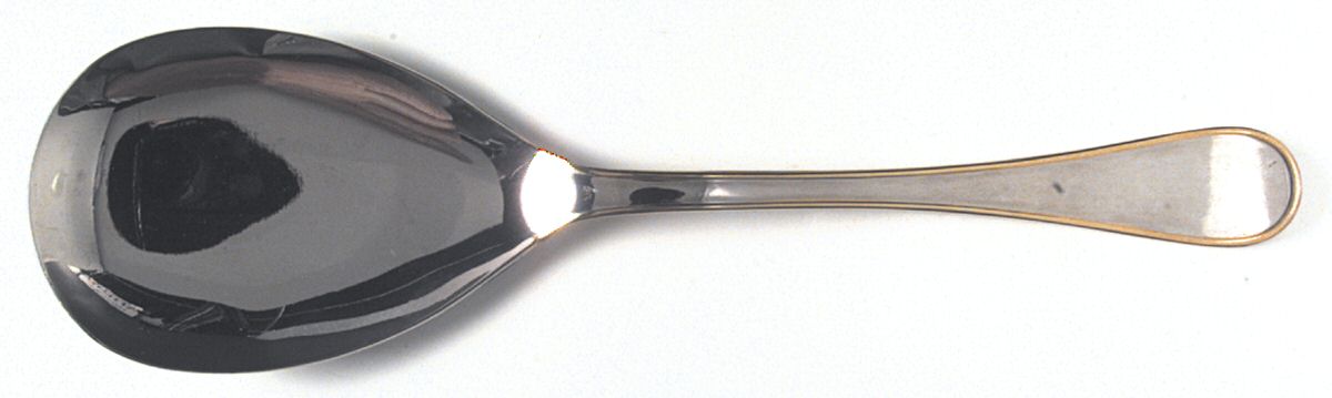 Gnutti (Stainless) Solid Serving Spoon by Unknown Mfg Silver-1