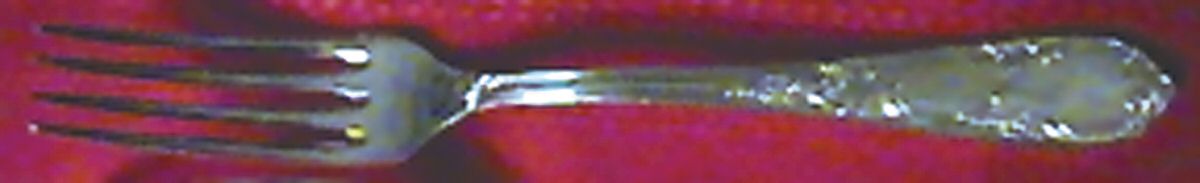 UNF533 (Stainless) Fork by Unknown Mfg Silver-1