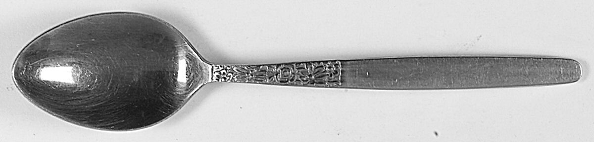 UNF542 (Stainless) Teaspoon by Unknown Mfg Silver-1