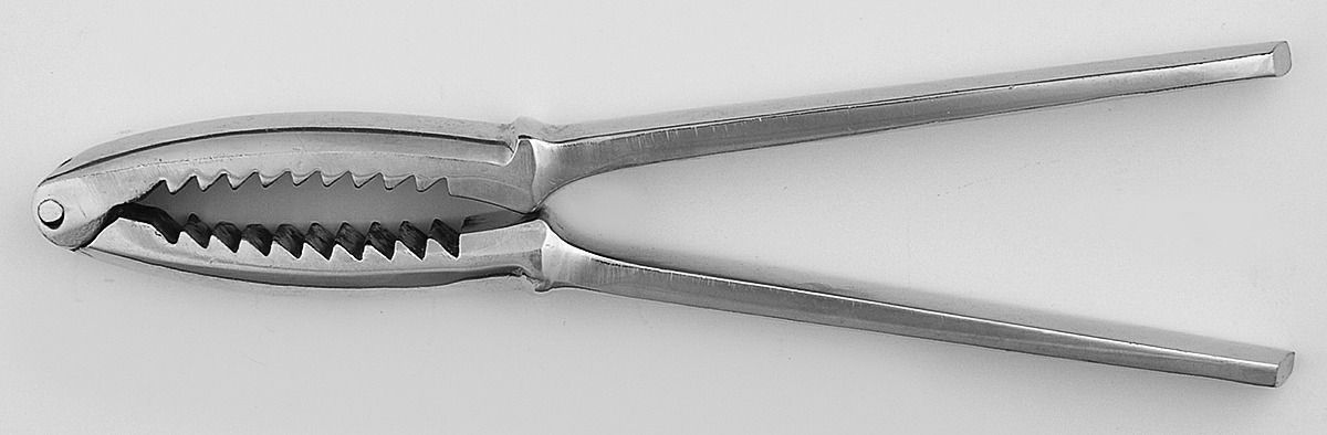 Stainless Flatware Stainless Grip Nut Cracker by Unknown Mfg Silver-1