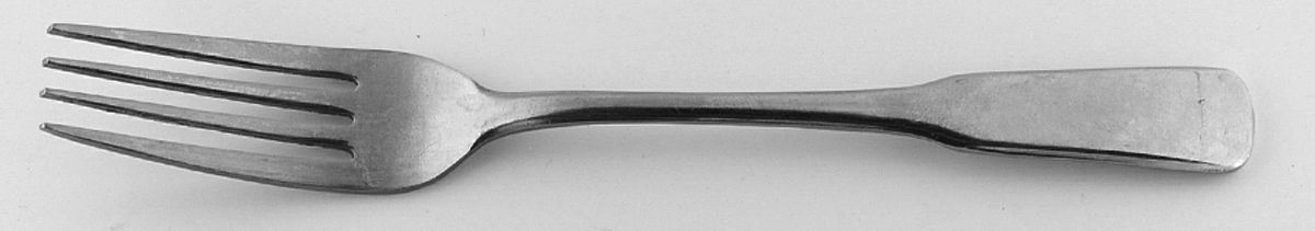 Ski & Sea (Stainless) Fork by Unknown Mfg Silver-1