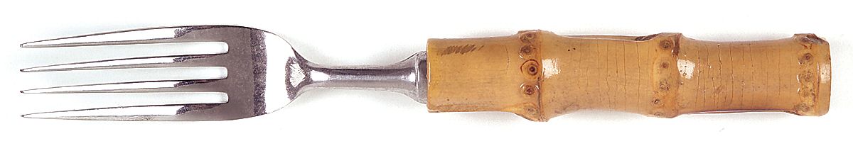 UNF110 (Stainless) Fork by Unknown Mfg Silver-1